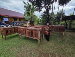 Negara Dorong Kemandirian Ekonomi Warga Sorong Lewat Bantuan Ternak Ayam untuk Gereja dan Masyarakat Papua
