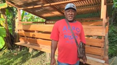 Bantuan Ternak Babi dan Pembuatan Kandang Dorong Kemandirian Ekonomi Adat Suku Biak di Sorong