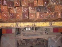 Truk Tanpa Nopol Angkut Kayu Merbau Diduga Ilegal Melintas Bebas di Jalan Umum Sorong
