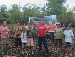 Berkunjung Ke Kebun, Anggota DPR RI Ruth Rumkabu Dorong Warga Biak Tanam Pangan Lokal