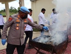 Polda Papua Barat Daya Musnahkan Barang Bukti Ganja Hasil Pengungkapan, Seberat 8 Kilo lebih