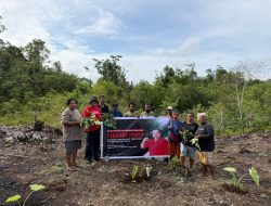 Anggota DPR RI, Ruth Naomi Mendorong Budidaya Tanaman Pengganti Beras 