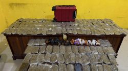 Polresta Sorong Kota Gagalkan Peredaran 5,4 Kilogram Ganja, Kurir Perempuan Ditangkap di Pelabuhan Sorong