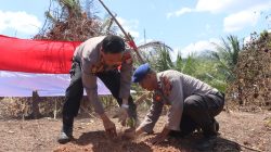Bukan Cuma Jaga Kamtibmas, Polresta Sorong Kota Tanam 100 Harapan di Lahan Warga