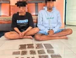 Polres Maybrat Ungkap Peredaran Ganja, Dua Orang Diamankan dan 162 Gram Barang Bukti Disita